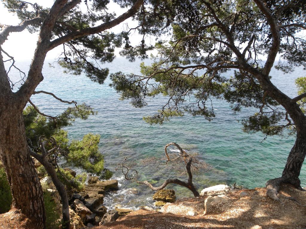 Sun & Sea Apart バンドール エクステリア 写真